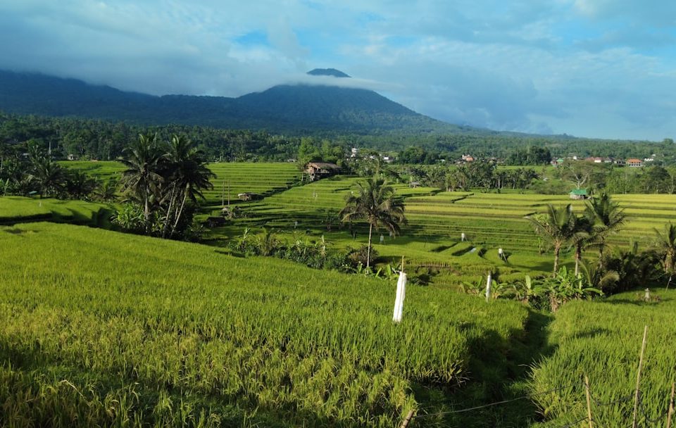 provinsi terkecil di indonesia
