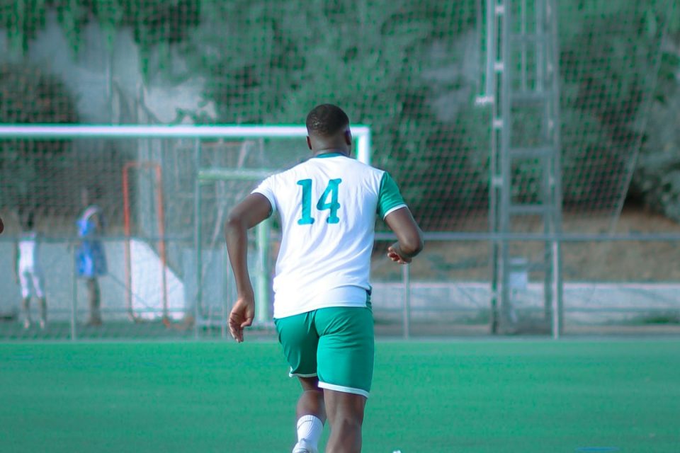 tim nasional sepak bola arab saudi